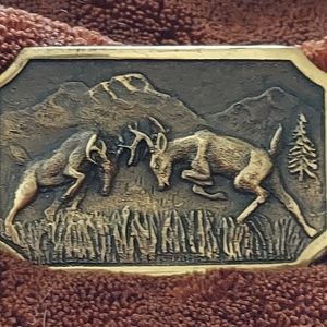 Bold Brass Registered Collection Buckle